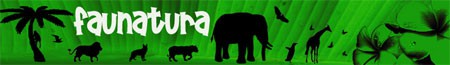 Faunatura, el nuevo blog de animales en Blog de Blogs